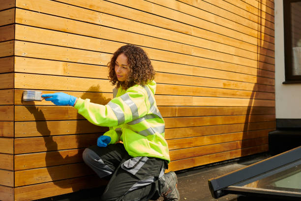 Best Stone Veneer Siding  in Hudson, NC